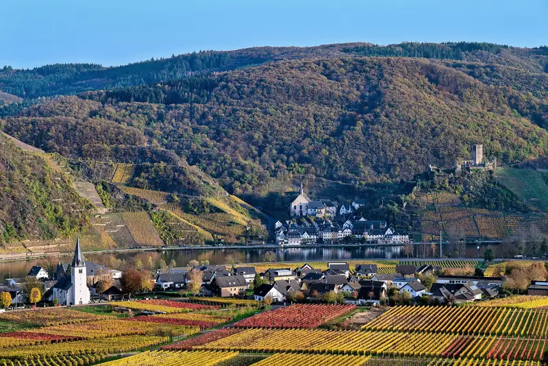 Herfstkleuren in de wijngaarden bij Ellenz en Beilstein