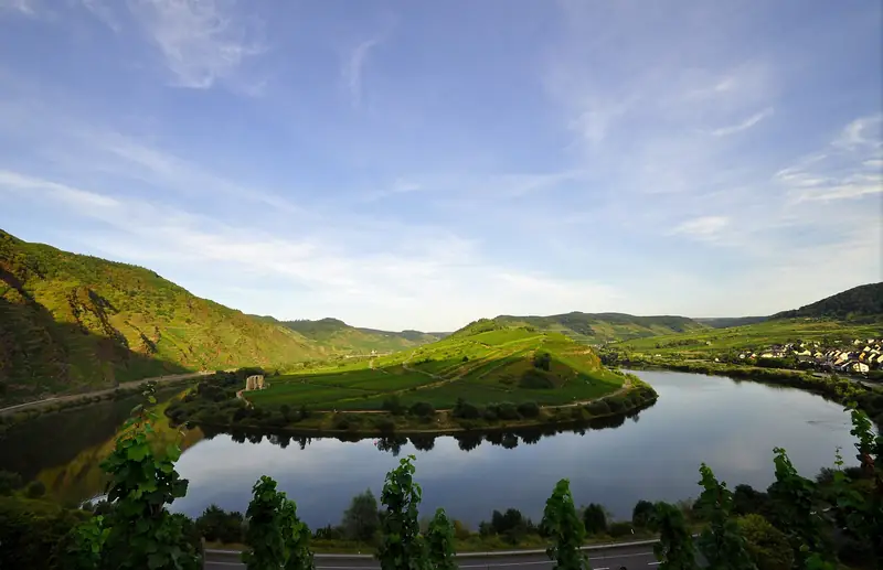 Morgenlys over Mosel-sløjfen ved Bremm