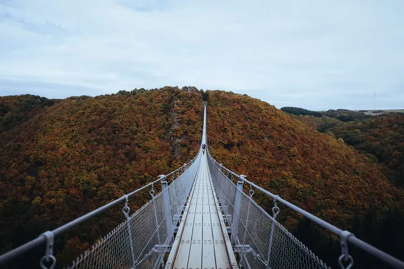 De hangbrug Geierlay over een bebost dal in de Hunsrück