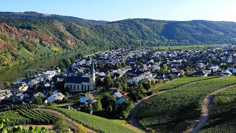 Kröv og dens vinskråninger ved Mosel