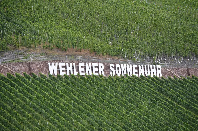 Vinmarken Wehlener Sonnenuhr ved Mittelmosel