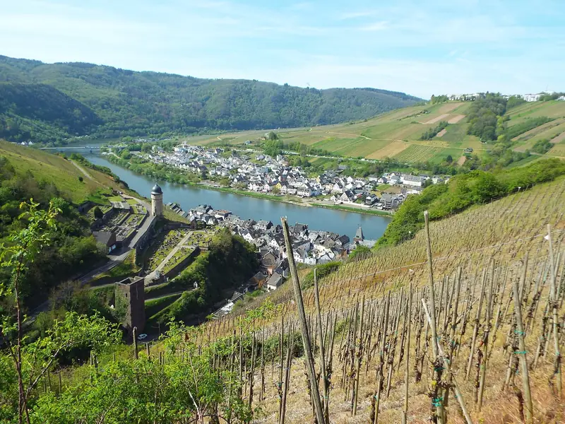 Uitzicht vanaf de Moselsteig over de wijngaarden naar Zell